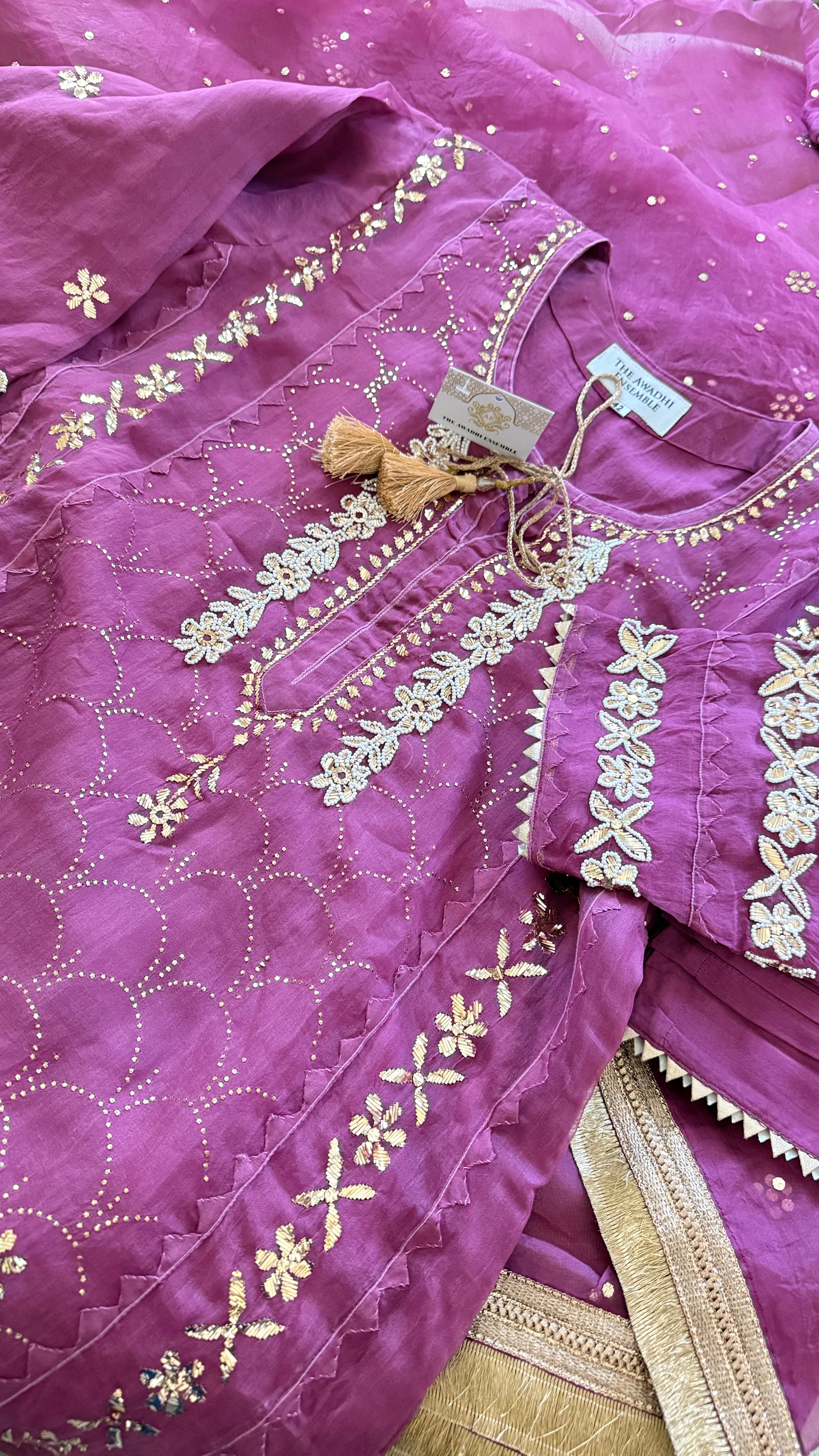 Ghazal Organza Ready to Wear Set with Pitta & Kaamdani Work
