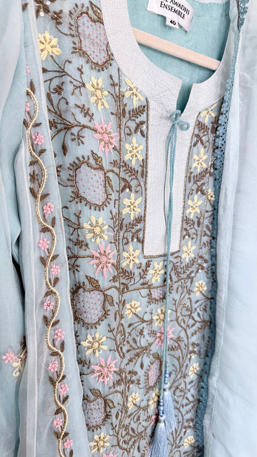 Pure Organza Silk Anarkali Set: Blue