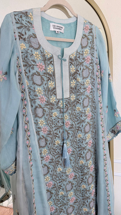 Pure Organza Silk Anarkali Set: Blue