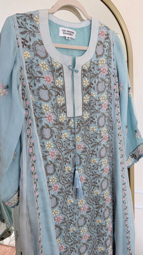 Pure Organza Silk Anarkali Set: Blue