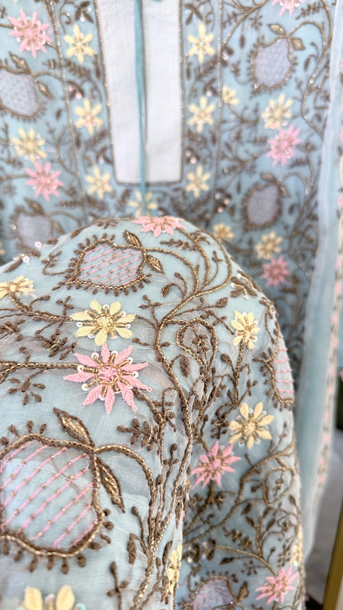 Pure Organza Silk Anarkali Set: Blue