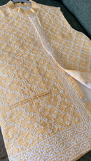Mens Chikankari Jacket