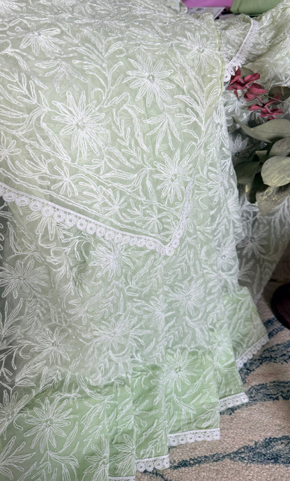 Semi Georgette Saree with Tepchi Work- Light Pista Green
