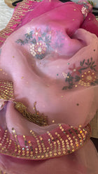 Pure Organza Chikankari Saree in Ombre