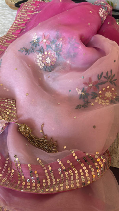 Pure Organza Chikankari Saree in Ombre