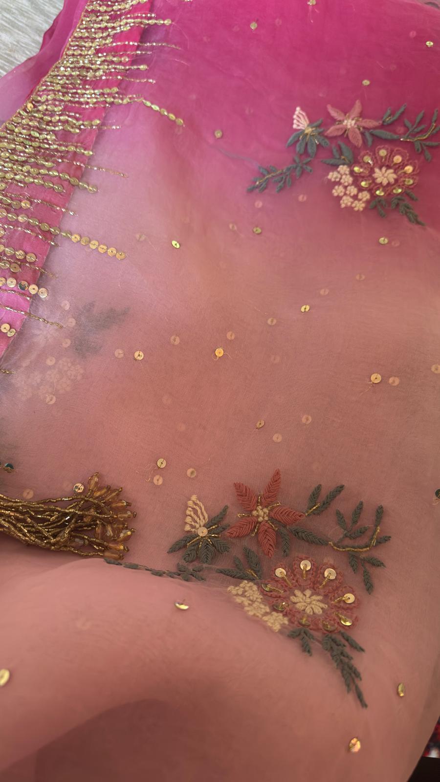 Pure Organza Chikankari Saree in Ombre