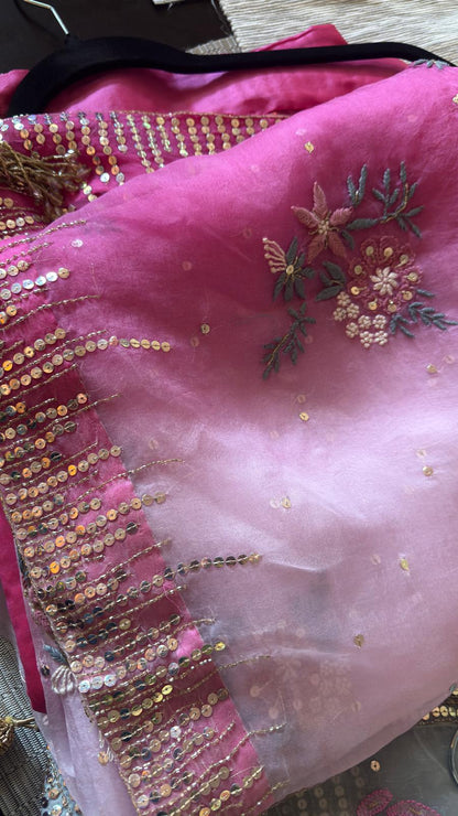 Pure Organza Chikankari Saree in Ombre