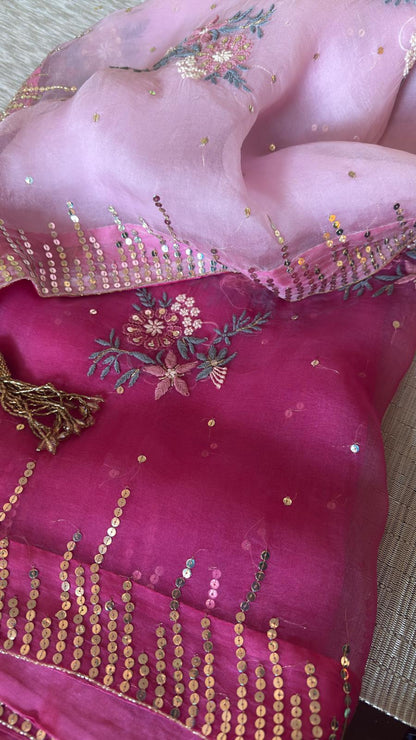 Pure Organza Chikankari Saree in Ombre
