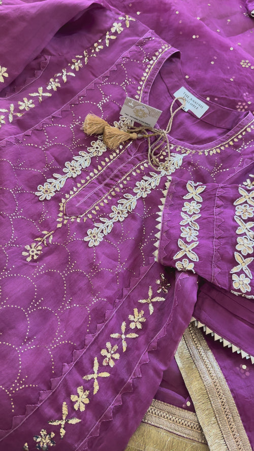 Ghazal Organza Ready to Wear Set with Pitta & Kaamdani Work