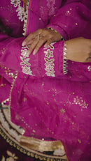 Ghazal Organza Ready to Wear Set with Pitta & Kaamdani Work